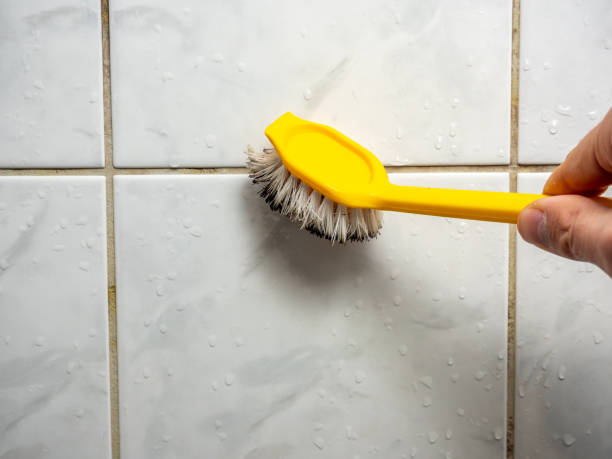 Trusted Montpelier, ID Mold Remediation Experts